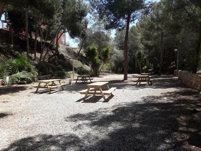 Apartment Parque Del Duque